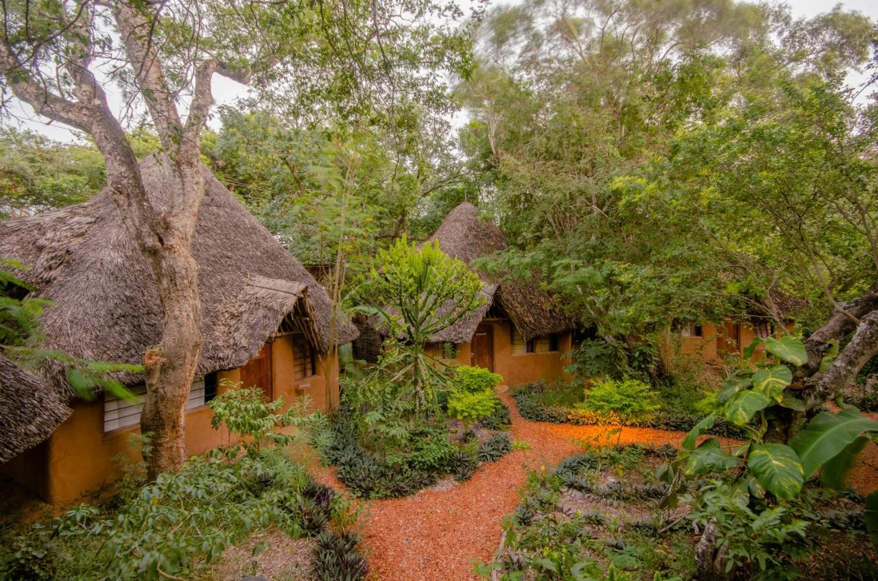 Distant Relatives Ecolodge & Backpackers Kilifi Exterior foto