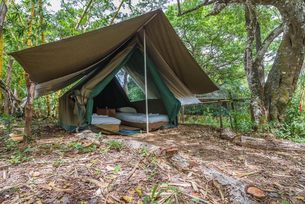 Distant Relatives Ecolodge & Backpackers Kilifi Exterior foto